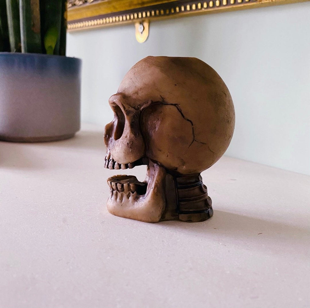 SALE! Skull Backflow Incense Cone Holder With Free Cones / Incense Cone Holder / Home Fragrance / Crystal Cleanse / Home Fragrance