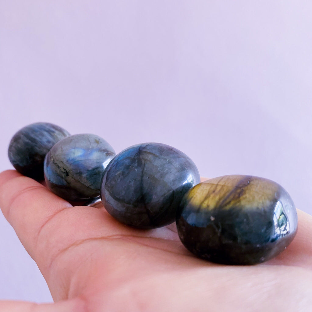 Super Flashy Labradorite Crystal Gemstone Large Pebbles / Transformation & Change, Inspires You To Achieve Your Dreams / Uplifts Your Mood