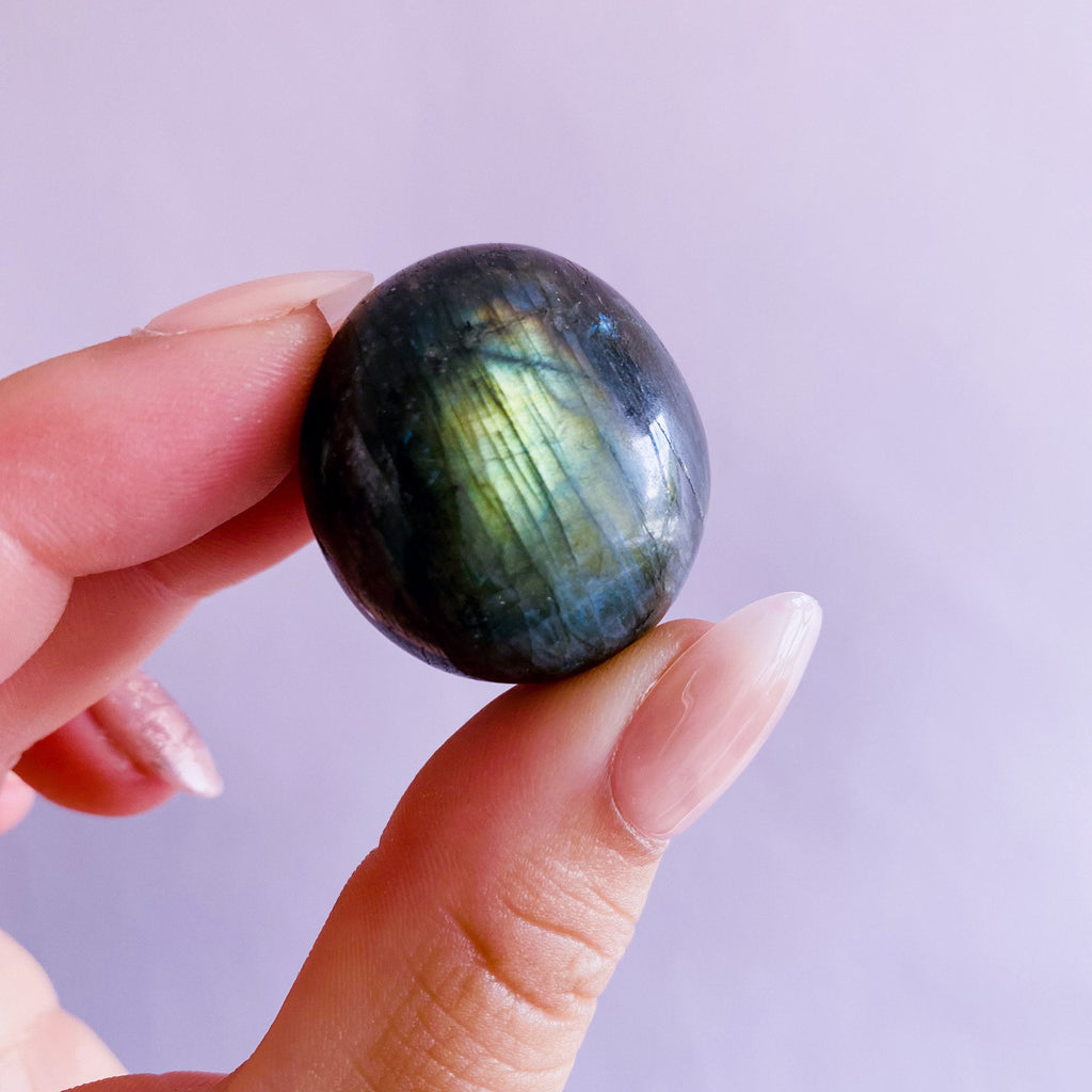 Super Flashy Labradorite Crystal Gemstone Large Pebbles / Transformation & Change, Inspires You To Achieve Your Dreams / Uplifts Your Mood