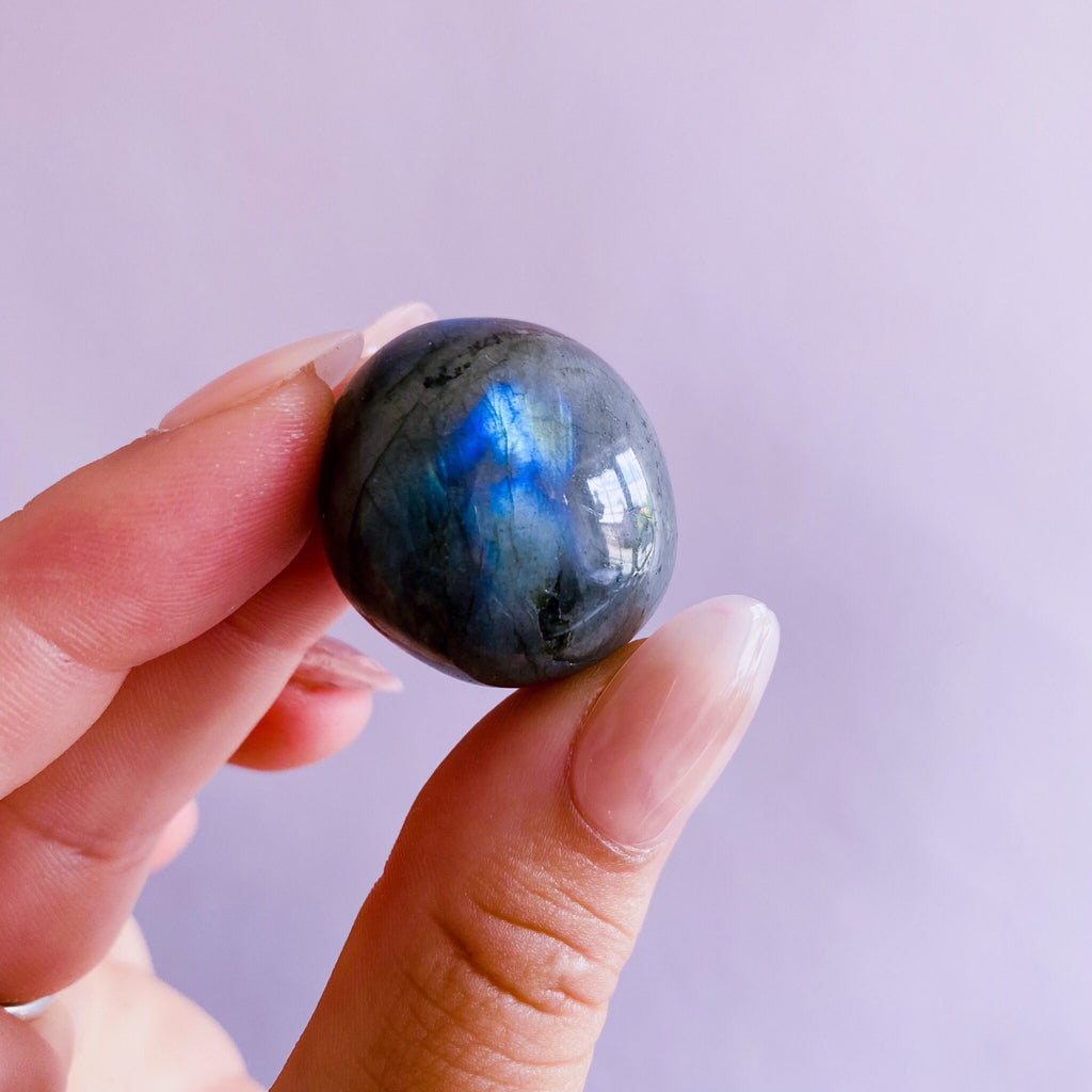 Super Flashy Labradorite Crystal Gemstone Large Pebbles / Transformation & Change, Inspires You To Achieve Your Dreams / Uplifts Your Mood