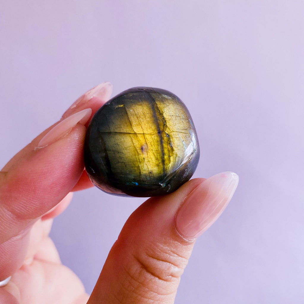 Super Flashy Labradorite Crystal Gemstone Large Pebbles / Transformation & Change, Inspires You To Achieve Your Dreams / Uplifts Your Mood