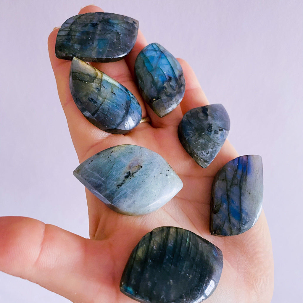 Super Flashy Labradorite Crystal Gemstone Leaves / Transformation & Change, Inspires You To Achieve Your Dreams / Uplifts Your Mood