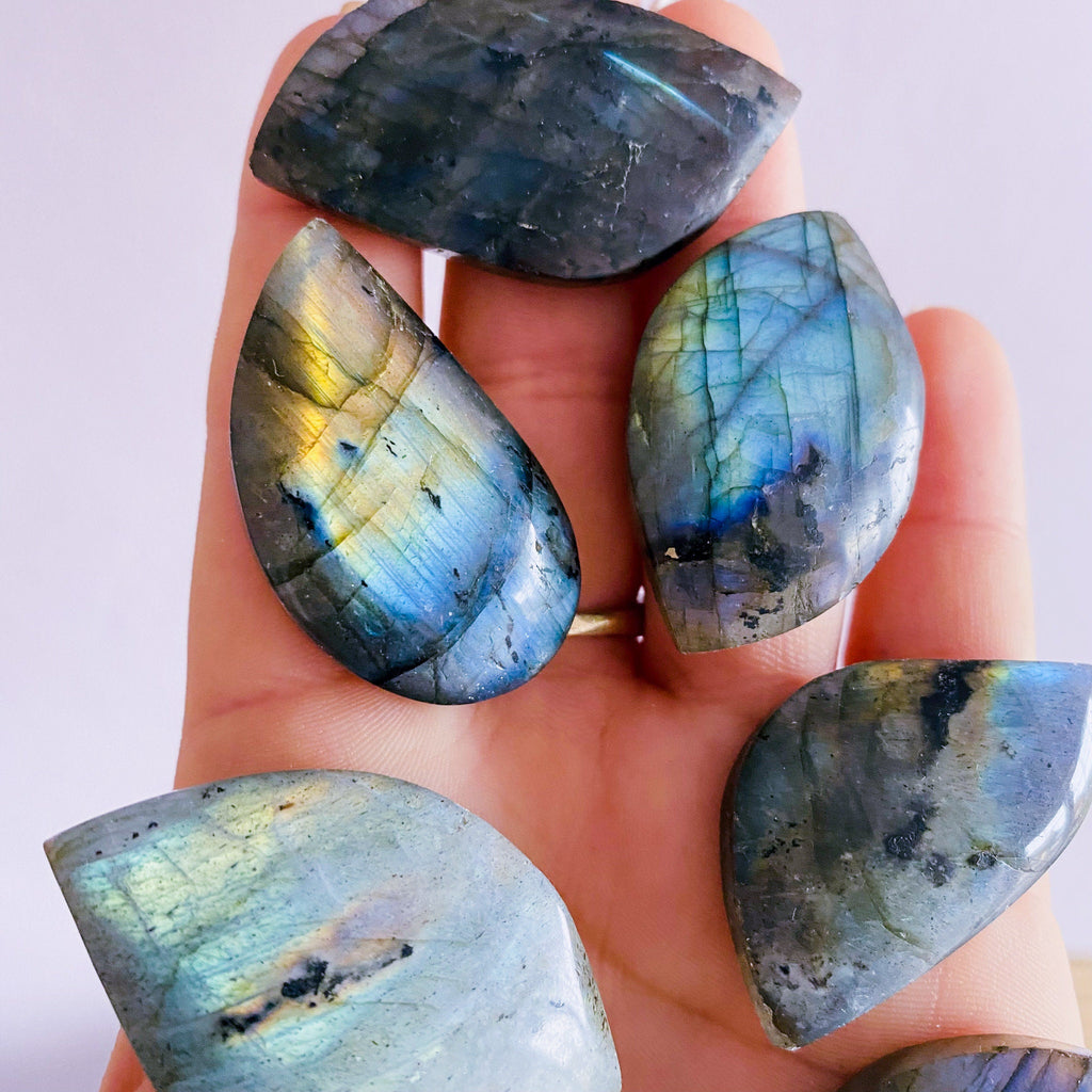 Super Flashy Labradorite Crystal Gemstone Leaves / Transformation & Change, Inspires You To Achieve Your Dreams / Uplifts Your Mood