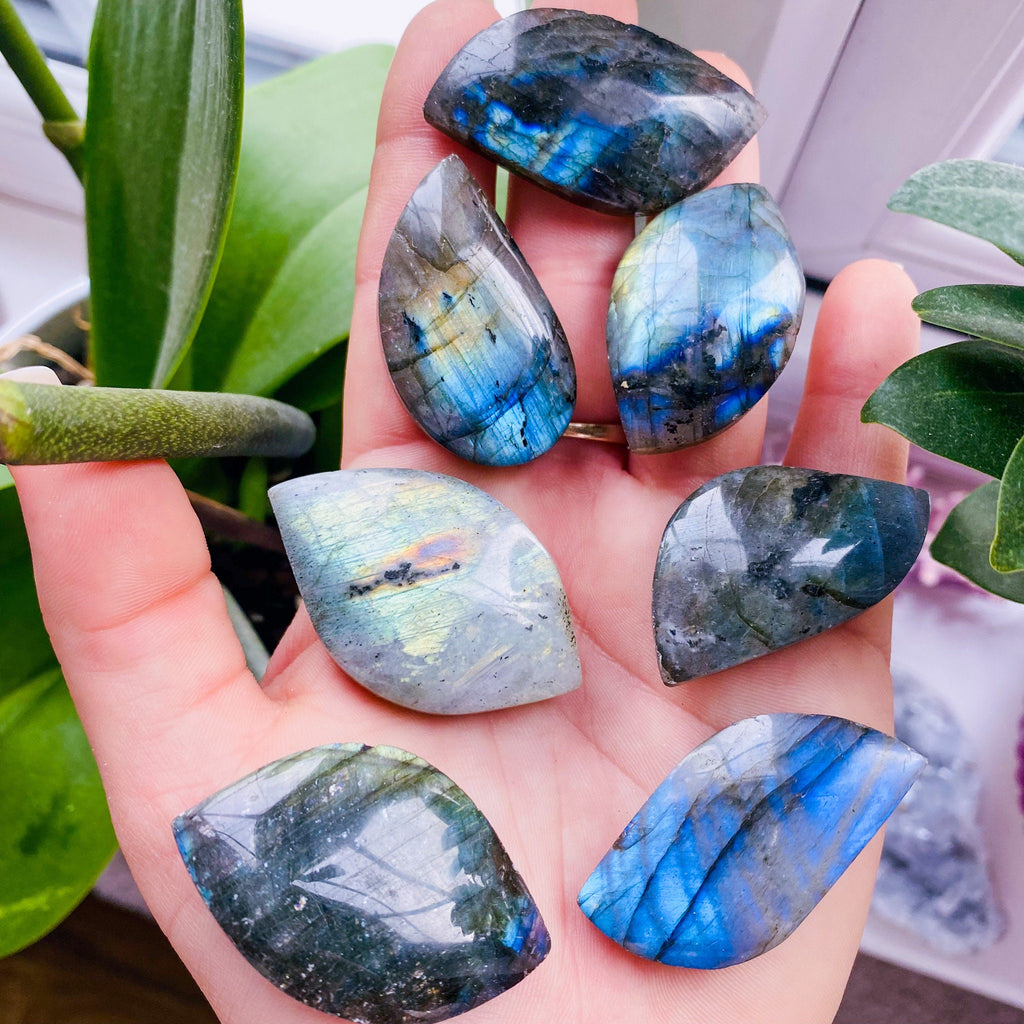 Super Flashy Labradorite Crystal Gemstone Leaves / Transformation & Change, Inspires You To Achieve Your Dreams / Uplifts Your Mood