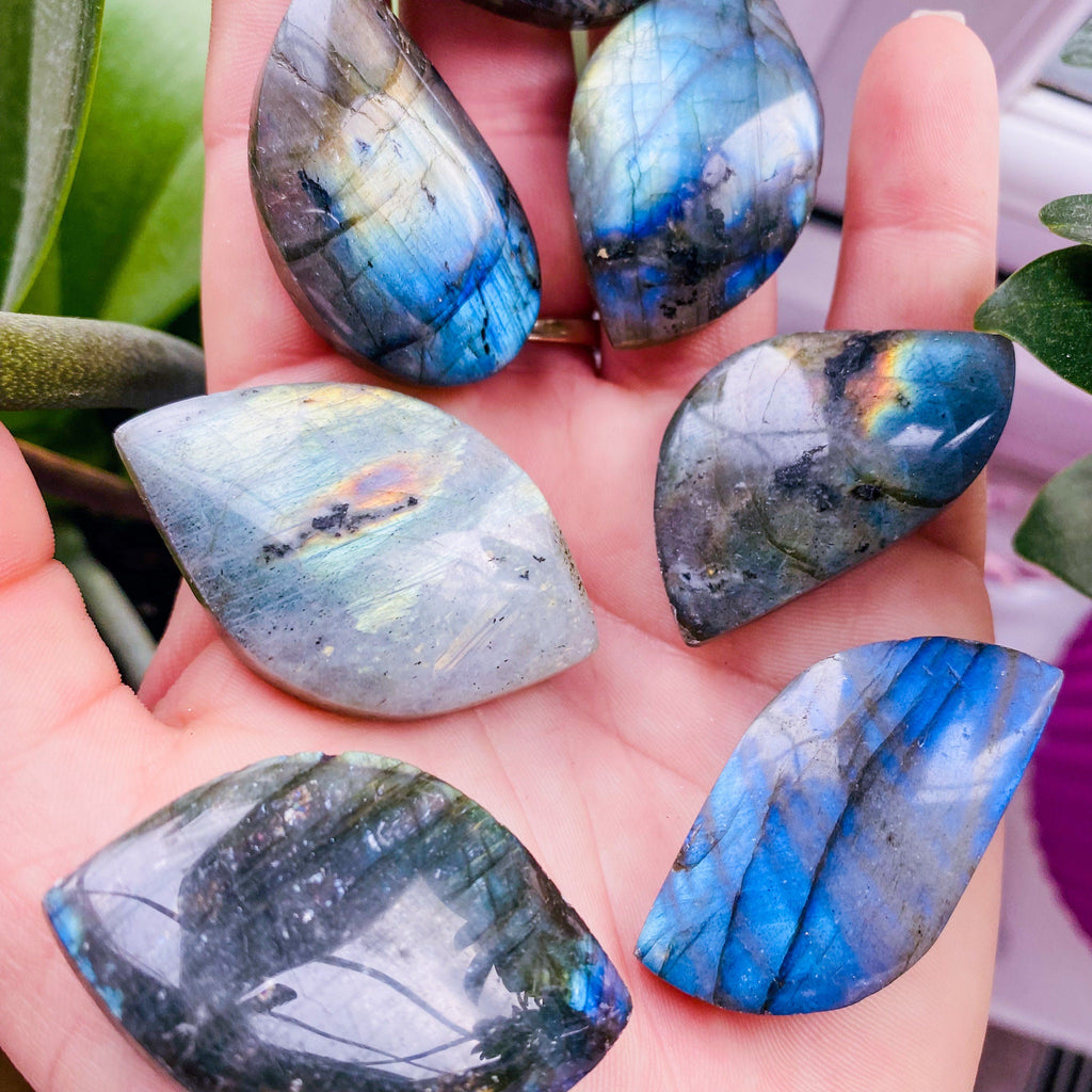 Super Flashy Labradorite Crystal Gemstone Leaves / Transformation & Change, Inspires You To Achieve Your Dreams / Uplifts Your Mood