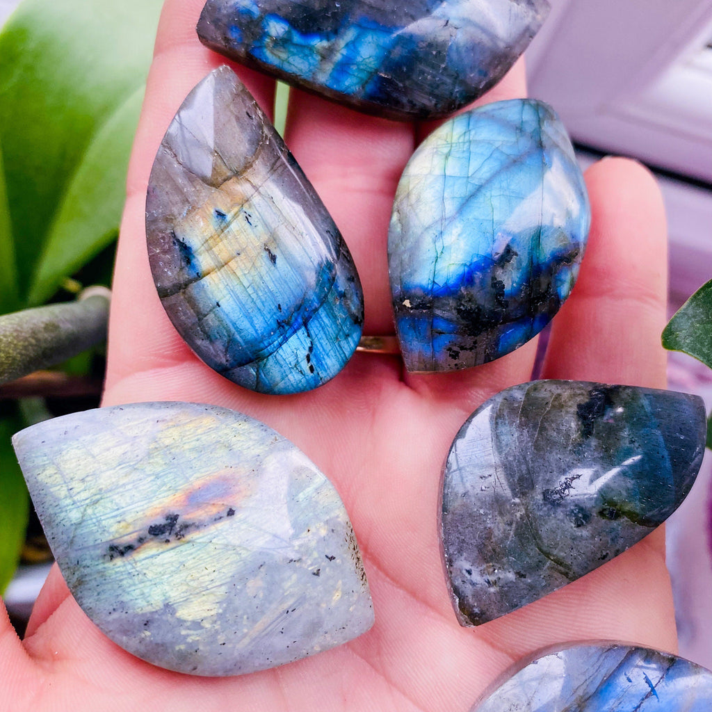 Super Flashy Labradorite Crystal Gemstone Leaves / Transformation & Change, Inspires You To Achieve Your Dreams / Uplifts Your Mood