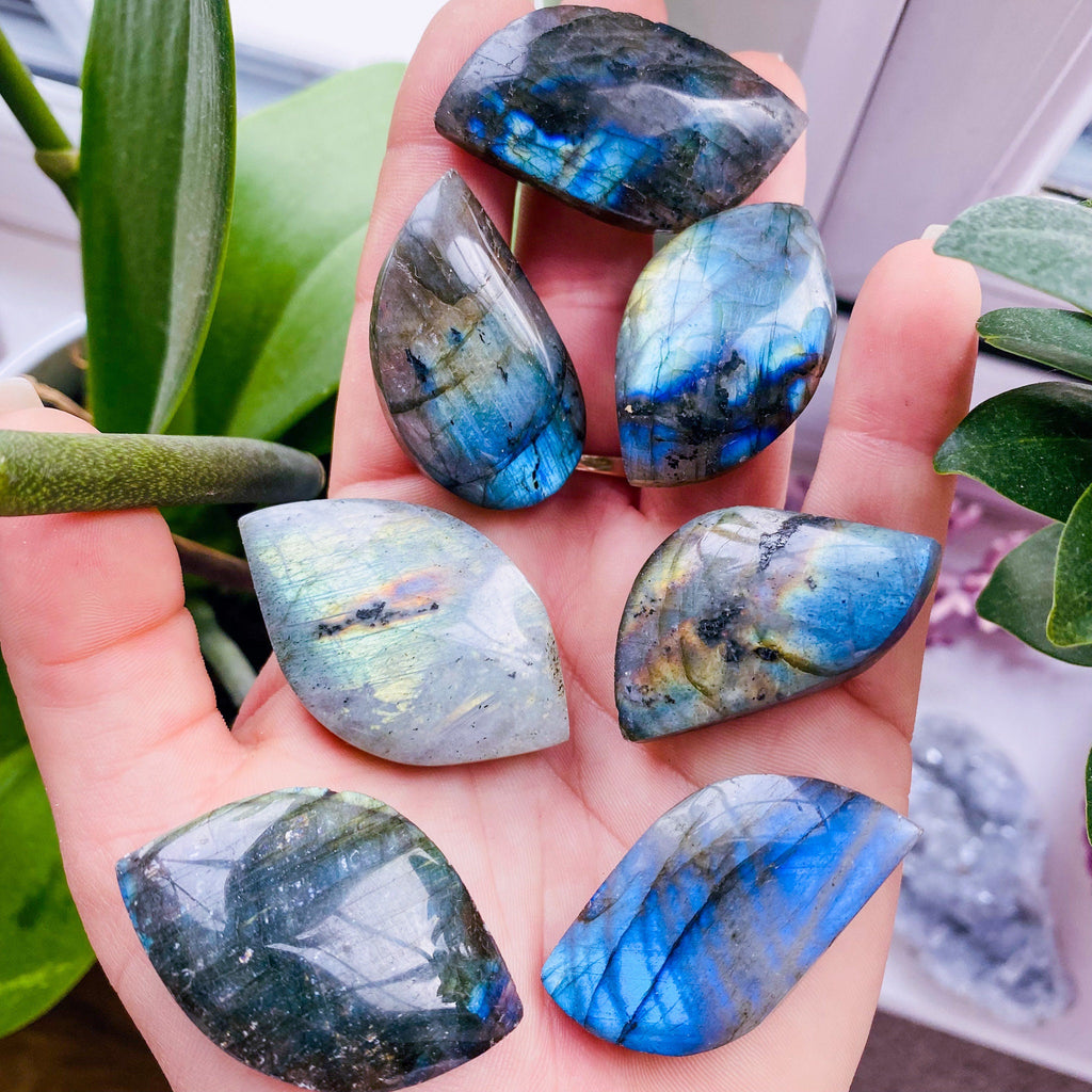 Super Flashy Labradorite Crystal Gemstone Leaves / Transformation & Change, Inspires You To Achieve Your Dreams / Uplifts Your Mood