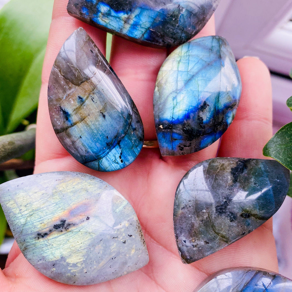 Super Flashy Labradorite Crystal Gemstone Leaves / Transformation & Change, Inspires You To Achieve Your Dreams / Uplifts Your Mood